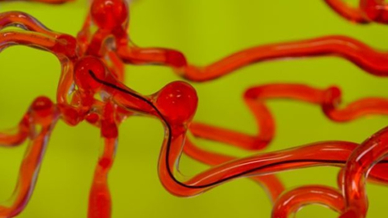 麻省理工開(kāi)發(fā)磁控線性機(jī)器人